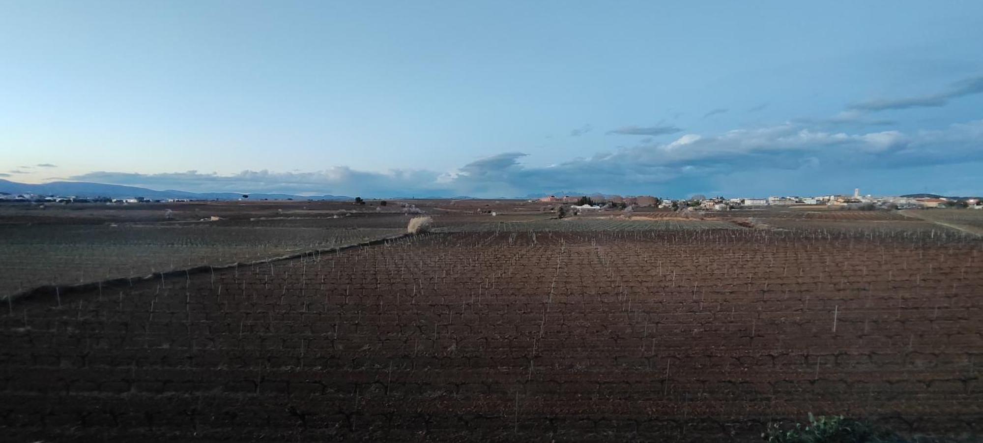 Cal Llop Villa Sant Cugat de Sesgarrigues Bagian luar foto